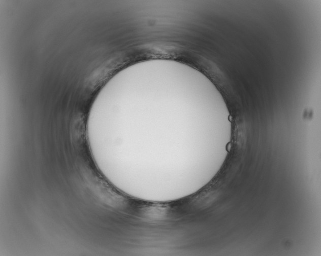X0000112800318200909181543