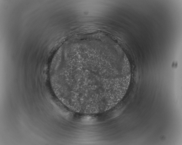 X0000112800319200909181543