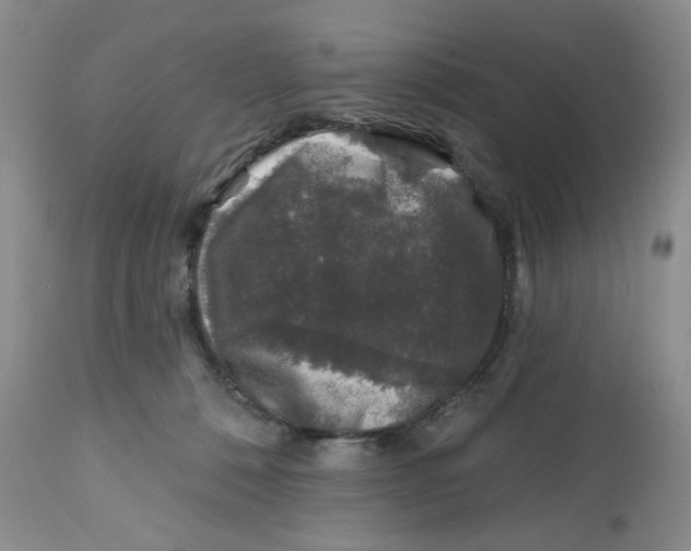 X0000112800320200909181543