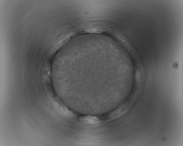 X0000112800322200909181542