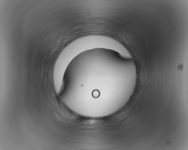 X0000112800323200909181542