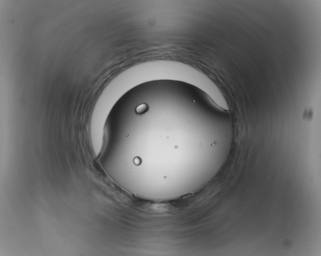 X0000112800324200909181542