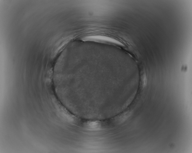 X0000112800325200909181542