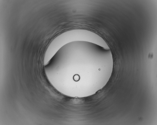 X0000112800327200909181542