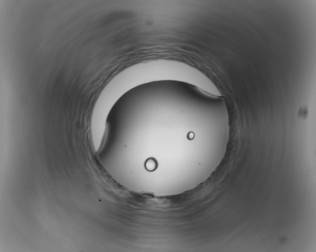 X0000112800328200909181542