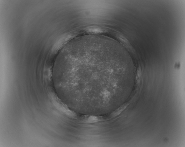 X0000112800330200909181542
