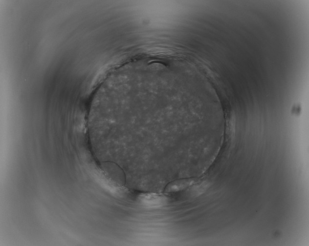 X0000112800331200909181542