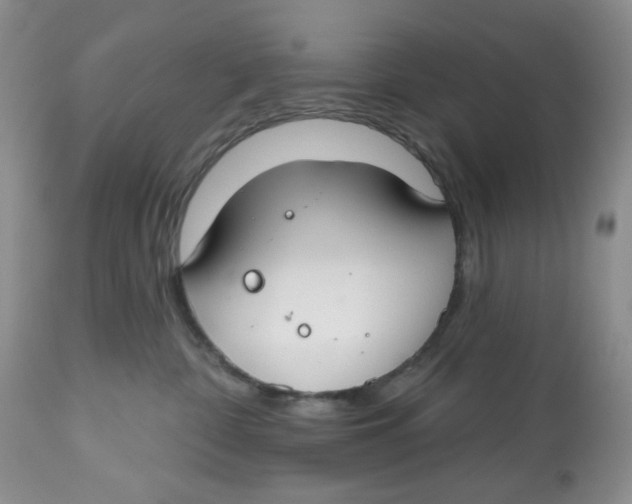 X0000112800332200909181542