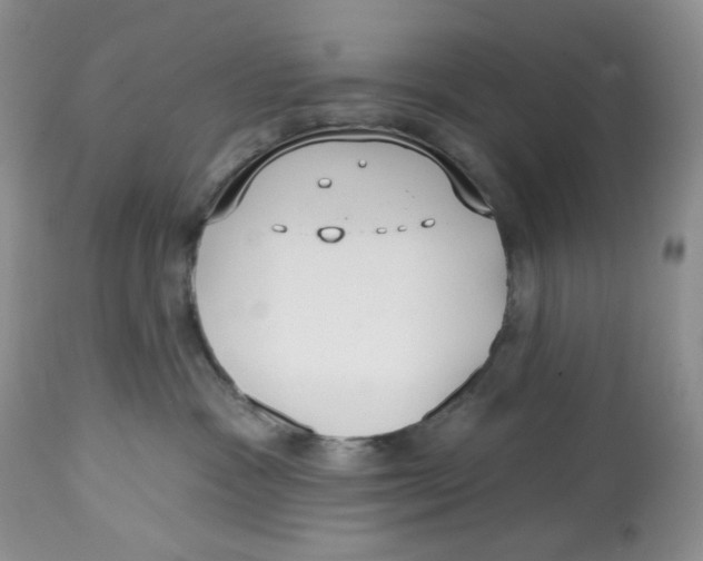 X0000112800333200909181542