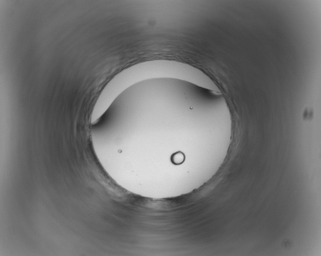 X0000112800336200909181542
