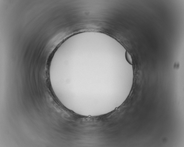 X0000112800338200909181541