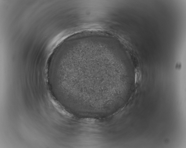 X0000112800339200909181541
