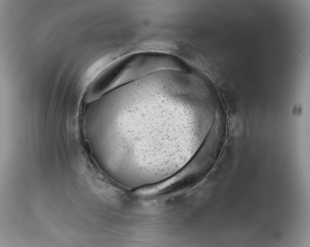X0000112800340200909181541