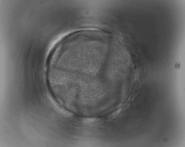 X0000112800342200909181542