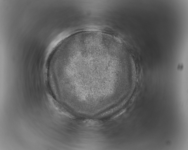 X0000112800343200909181542