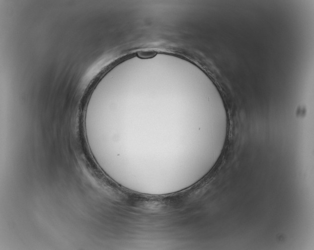 X0000112800344200909181542