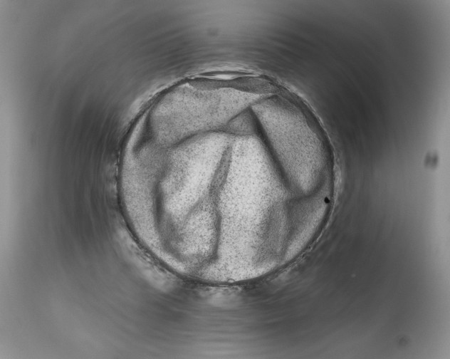 X0000112800345200909181542
