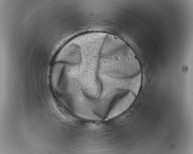 X0000112800346200909181542