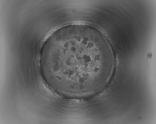 X0000112800347200909181542
