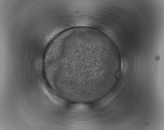 X0000112800348200909181542
