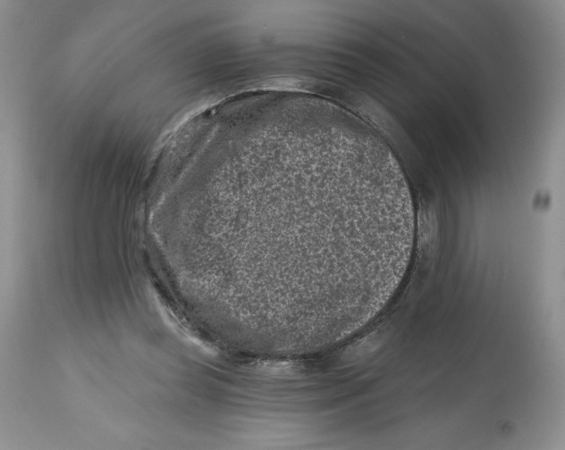 X0000112800349200909181542