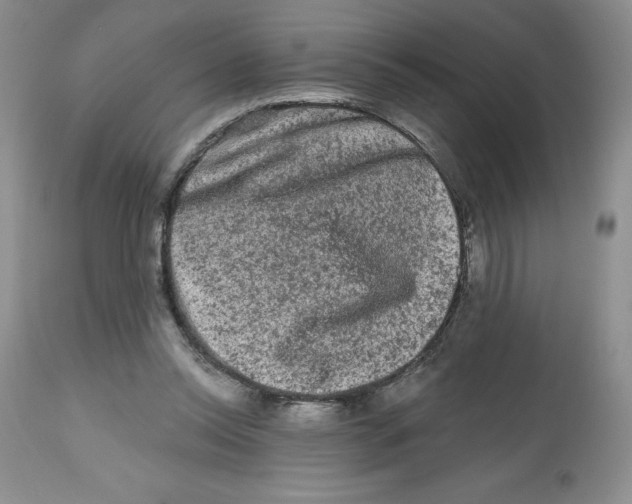 X0000112800350200909181542