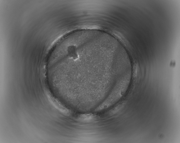 X0000112800351200909181542