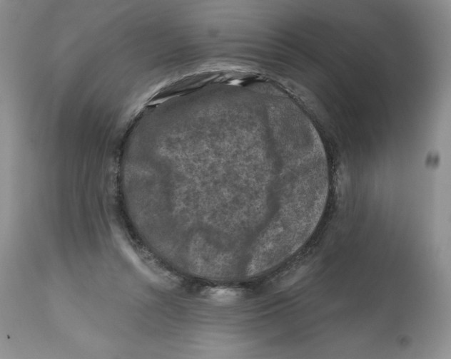 X0000112800352200909181542