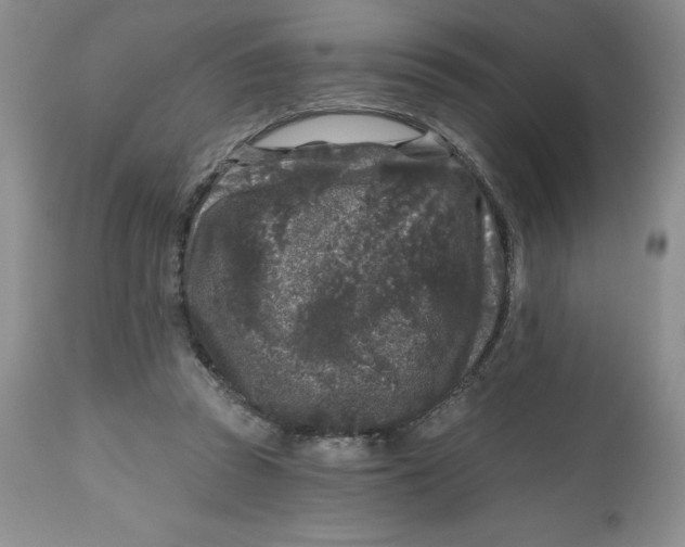 X0000112800353200909181542
