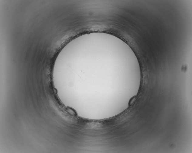 X0000112800354200909181542