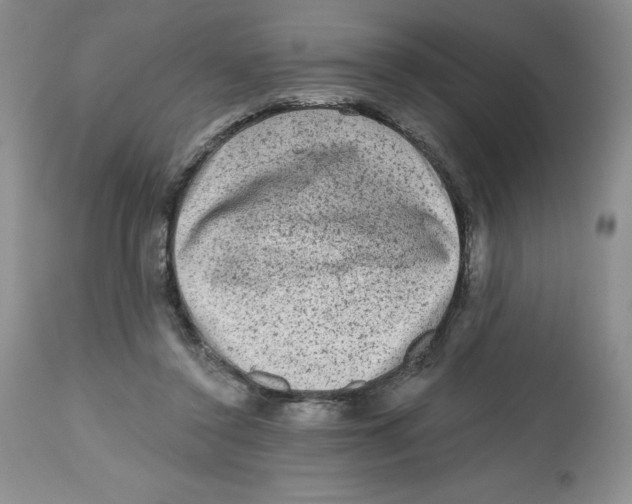 X0000112800356200909181542