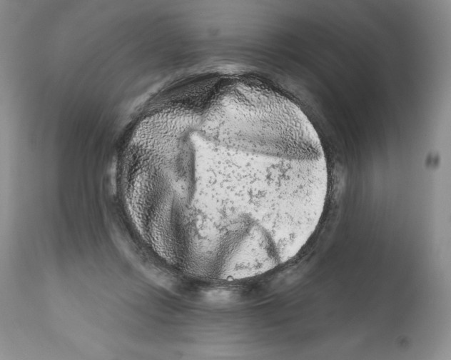 X0000112800358200909181542