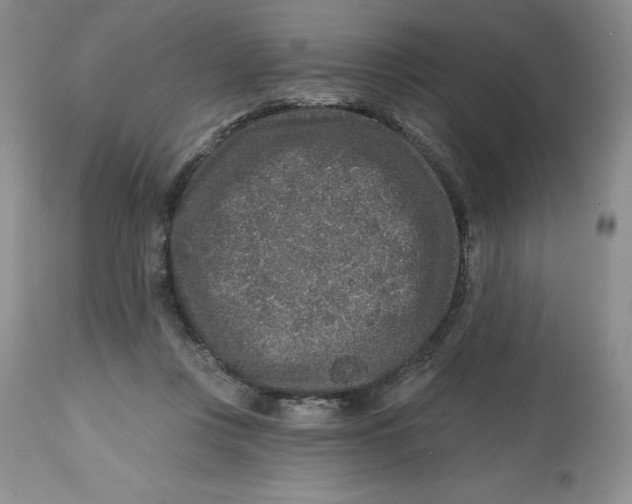 X0000112800359200909181542