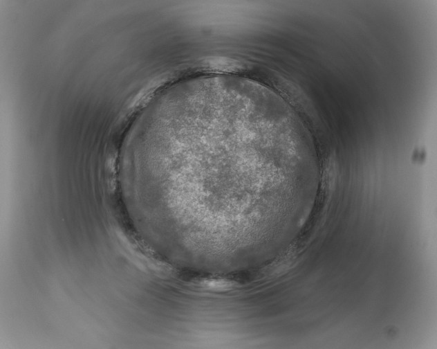X0000112800360200909181542