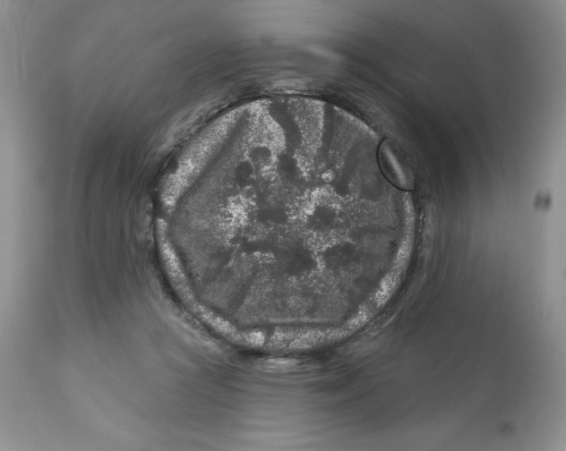 X0000112800361200909181542