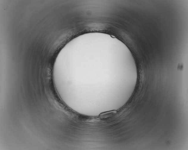 X0000112800362200909181542