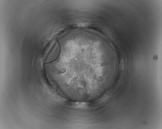 X0000112800363200909181542