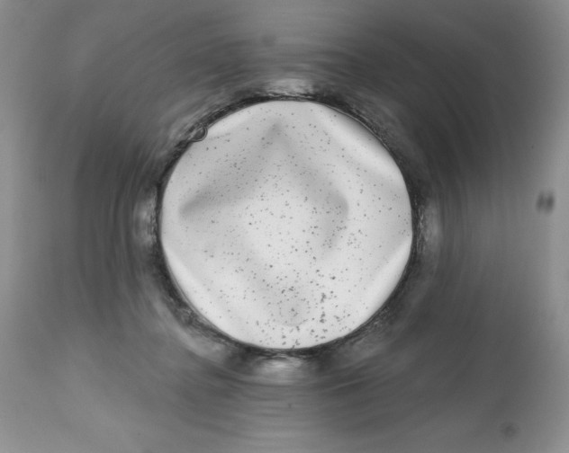 X0000112800364200909181542