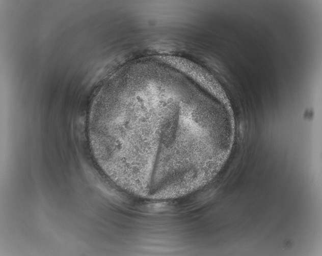 X0000112800365200909181542