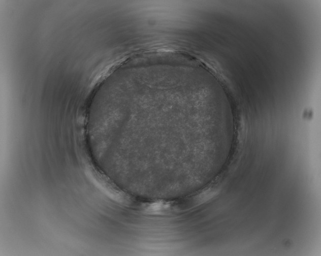 X0000112800366200909181542