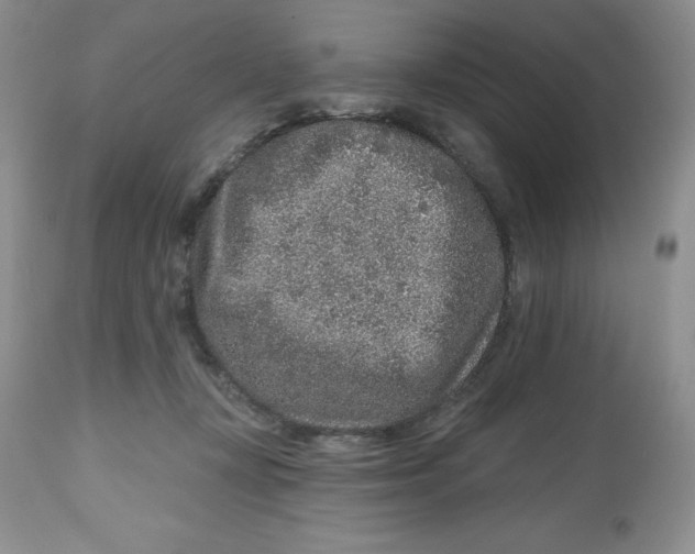 X0000112800367200909181542