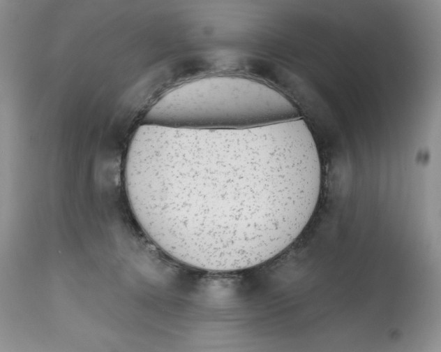 X0000112800368200909181542