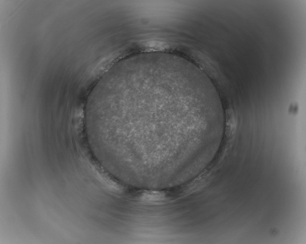 X0000112800369200909181542