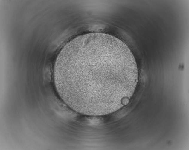 X0000112800370200909181542
