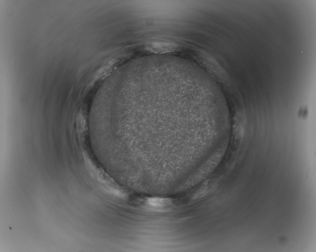 X0000112800371200909181542