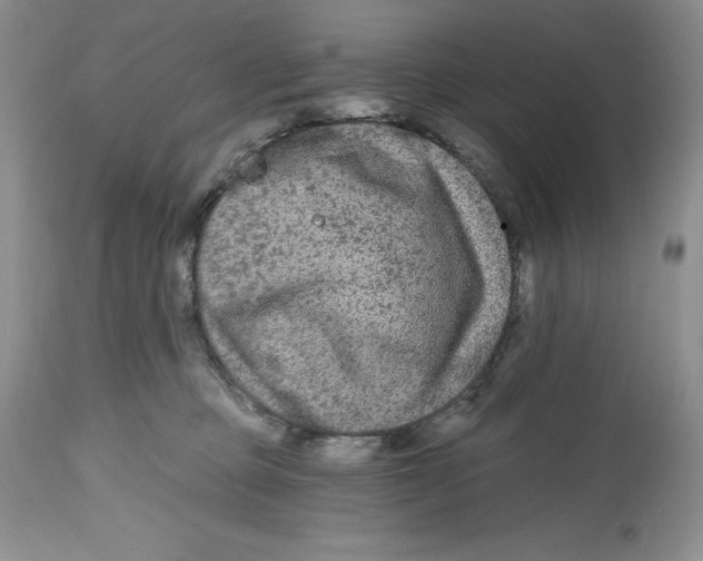 X0000112800373200909181542