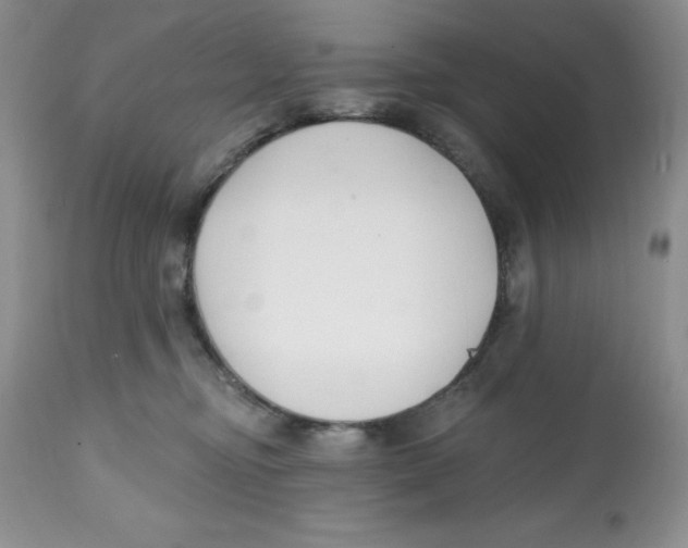 X0000112800374200909181542