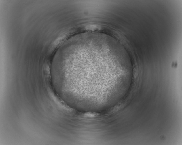X0000112800375200909181542