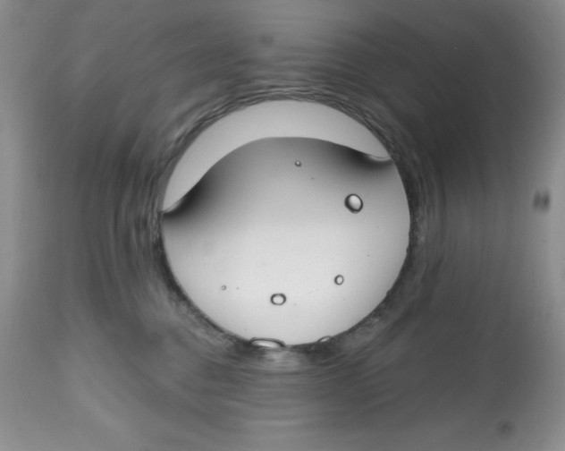 X0000112800376200909181542