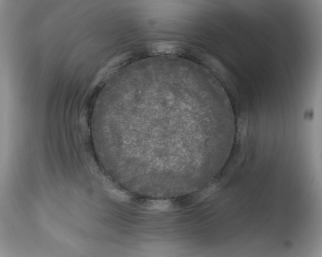 X0000112800377200909181542